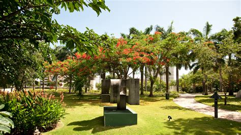  Jardín de Maria Cristina: Uma Jóia Tropical Escondida em Iligan