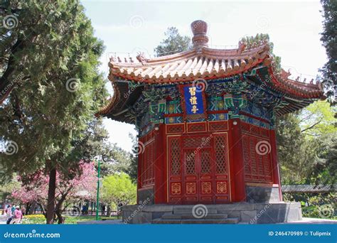  O Pagode da Flor Dourada: Uma Joia Arquitetônica que Brilha no Parque Zhongshan!